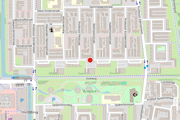 Brandweer-melding op Robert Kochlaan, Haarlem op 9 juli, kaart-overzicht