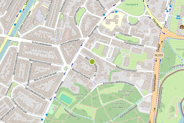 Ambulance-melding op Westerhoutpark, Haarlem op 6 juni, kaart-overzicht