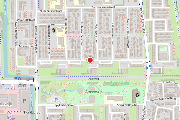 Brandweer-melding op Robert Kochlaan, Haarlem op 17 juni, kaart-overzicht
