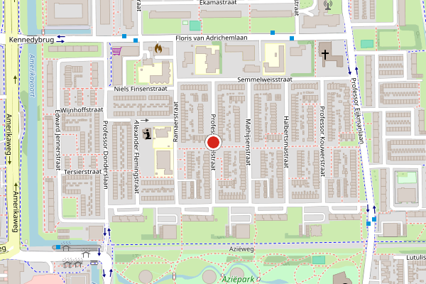 Brandweer-melding op Professor Pelstraat, Haarlem op 18 juni, kaart-overzicht